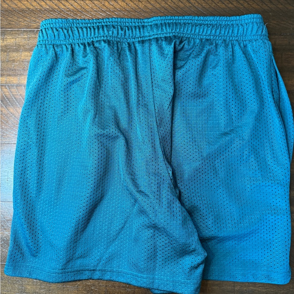 Under Armour Teal Mesh Shorts